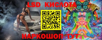 крисы Новодвинск