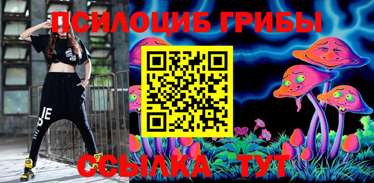 Псилоцибиновые грибы мухоморы Тихвин